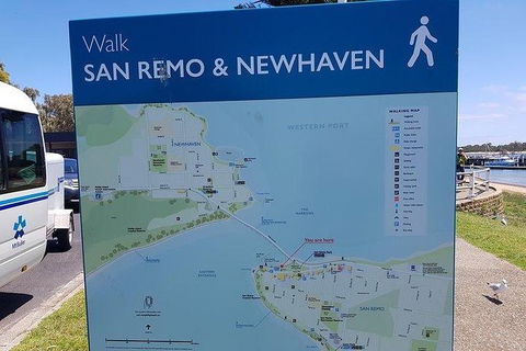 Phillip Island Penguin And Wildlife Tour - Accommodation Broadbeach 35