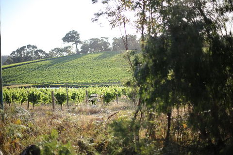 All Inclusive Surf Camp In Margaret River Region - Accommodation Broadbeach 3