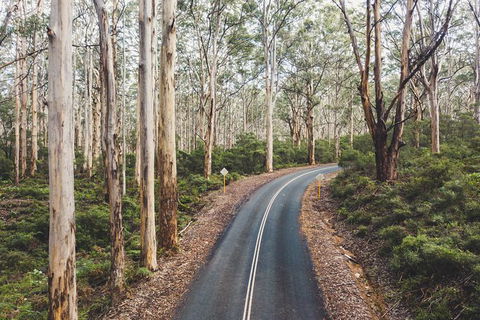 All Inclusive Surf Camp In Margaret River Region - Accommodation Broadbeach 2