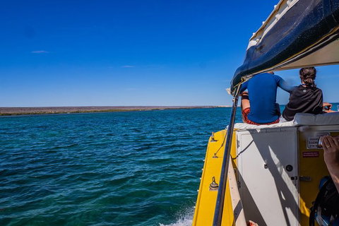 Ningaloo Immersion Private Charter - Accommodation Broadbeach 0