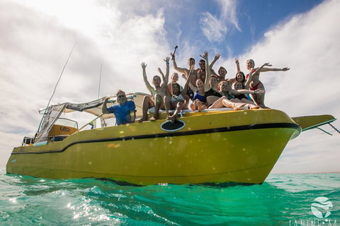 Ningaloo Immersion Private Charter - Accommodation Broadbeach 9