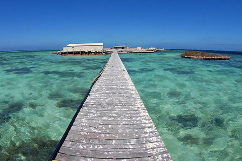 Abrolhos Islands 5 Day Tours - Accommodation Broadbeach 4