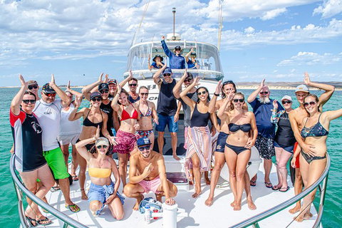 Full-Day Whale Sharks Swimming Experience On Ningaloo Reef - Accommodation Broadbeach 1