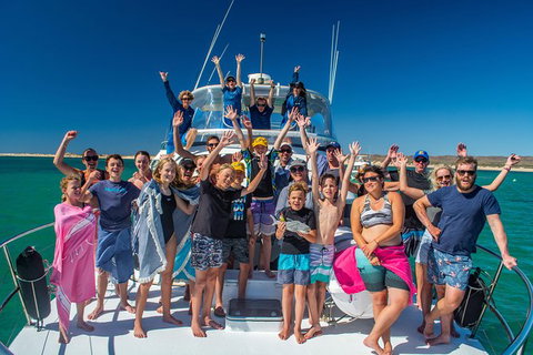 Full-Day Whale Sharks Swimming Experience On Ningaloo Reef - Accommodation Broadbeach 15