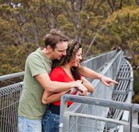 Valley of the Giants Tree Top Walk - Accommodation Broadbeach