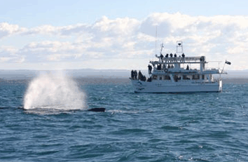 Huskisson NSW Accommodation Broadbeach