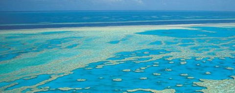 Aristocat Snorkel And Scuba Port Douglas - Accommodation Broadbeach 3