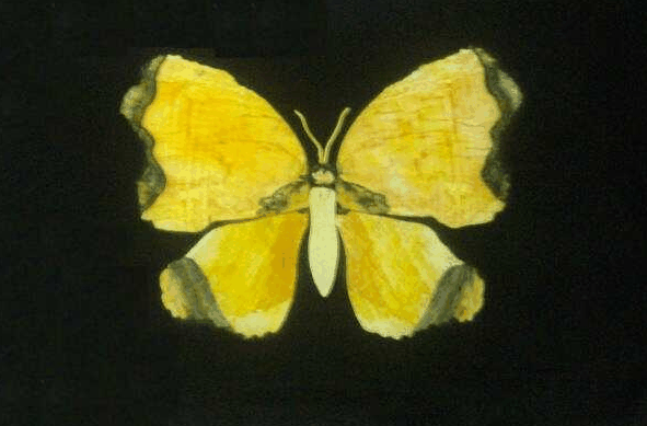 Ashworths - Accommodation Broadbeach 0