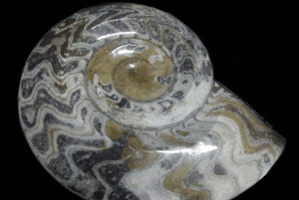 Ashworths - Accommodation Broadbeach 2