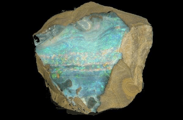 Ashworths - Accommodation Broadbeach 4