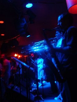 The Night Cat - Accommodation Broadbeach 2