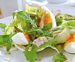 Montville QLD Accommodation Broadbeach