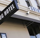 Skinny Dog Hotel - Accommodation Broadbeach