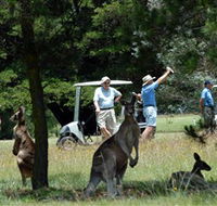 Glen Innes Golf Club - Accommodation Broadbeach