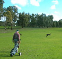 Coffin Bay Golf Club - Accommodation Broadbeach