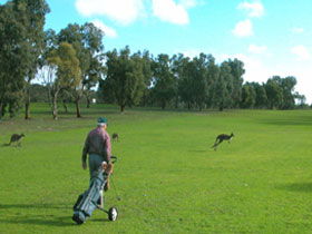 Coffin Bay Golf Club - Accommodation Broadbeach 0