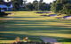 Huntingdale Golf Club - thumb 3