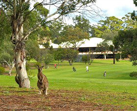 Pambula Merimbula Golf Club - Accommodation Broadbeach 0