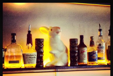 Hairy Canary - Accommodation Broadbeach 0