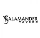Salamander Tavern - Accommodation Broadbeach