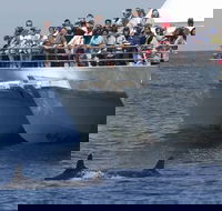MoonshadowTQC Cruises - Accommodation Broadbeach