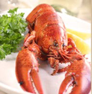 Il Piatto Restaurant - Accommodation Broadbeach 1