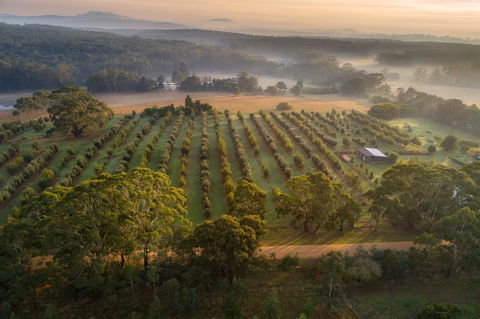 A Taste Of Truffles - Accommodation Broadbeach 1