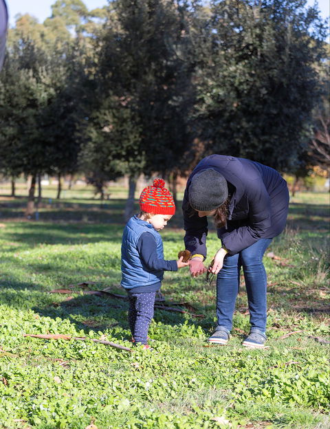 A Taste Of Truffles - Accommodation Broadbeach 2