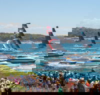 Boxing Day Cruise - Sydney to Hobart Yacht Race - Accommodation Broadbeach
