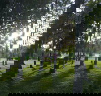 Celebration Outing Special - Accommodation Broadbeach