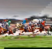 Grafton July Racing Carnival - Accommodation Broadbeach
