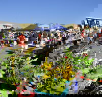 Maclean Community Monthly Markets - Accommodation Broadbeach