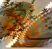 Online live streaming class DIY Skincare Products - Accommodation Broadbeach