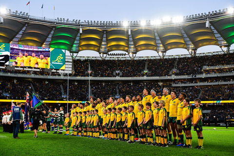 Rugby Championship: Qantas Wallabies V Springboks - Accommodation Broadbeach 0
