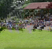 Tumut Derby Day - Accommodation Broadbeach