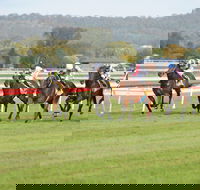 Aggies Race Day - Accommodation Broadbeach