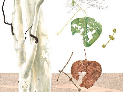 Artistic Endeavour - Accommodation Broadbeach 0