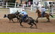 Dalgety Team Penning - thumb 0