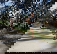 Ned Kelly Chase - Accommodation Broadbeach