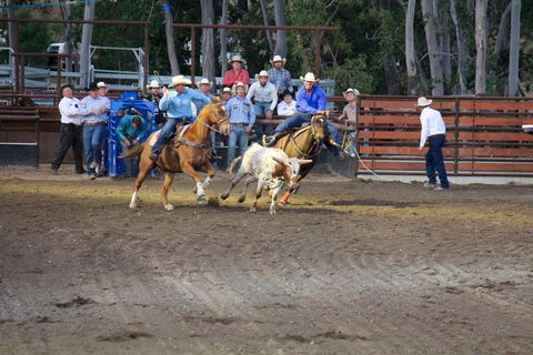 North Queensland Elite Rodeo - Accommodation Broadbeach 0