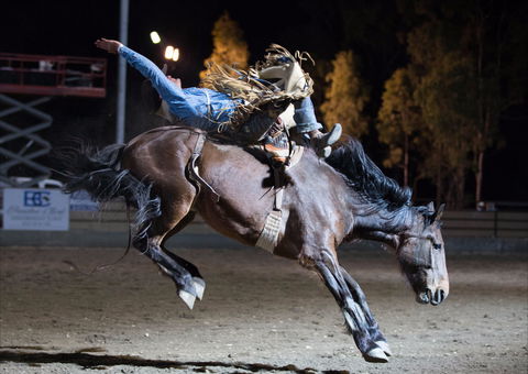 North Queensland Elite Rodeo - Accommodation Broadbeach 1