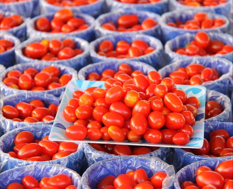 The Entrance Market - Accommodation Broadbeach 2