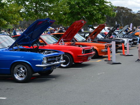 Torana Nationals - Accommodation Broadbeach 1