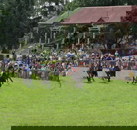 Tumut Boxing Day Races - Accommodation Broadbeach