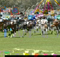 Wangaratta Show - Accommodation Broadbeach