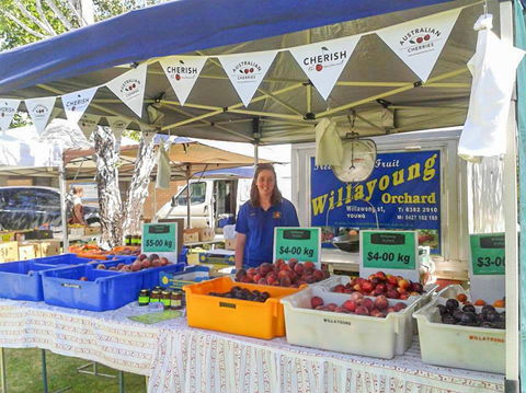 Young And Region Farmers Markets - Accommodation Broadbeach 1