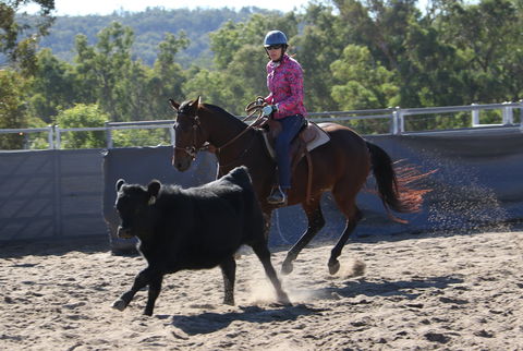Australian Campdraft Association National Finals Campdraft 2021 - Accommodation Broadbeach 1
