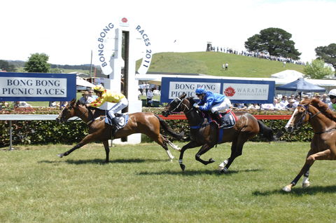 Bong Bong Picnic Races - Accommodation Broadbeach 0