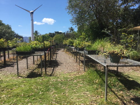 Conservation Volunteers Australia Townsville - Ocean View Nursery - Accommodation Broadbeach 0