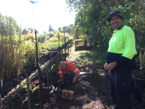 Conservation Volunteers Australia Townsville - Ocean View Nursery - Accommodation Broadbeach 1